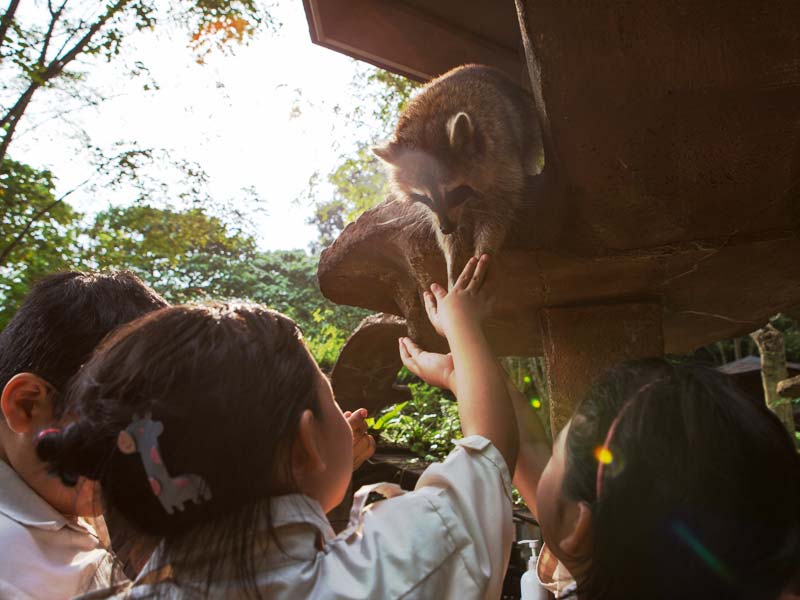 Lost World Petting Zoo - Lost World of Tambun Malaysia Zoo